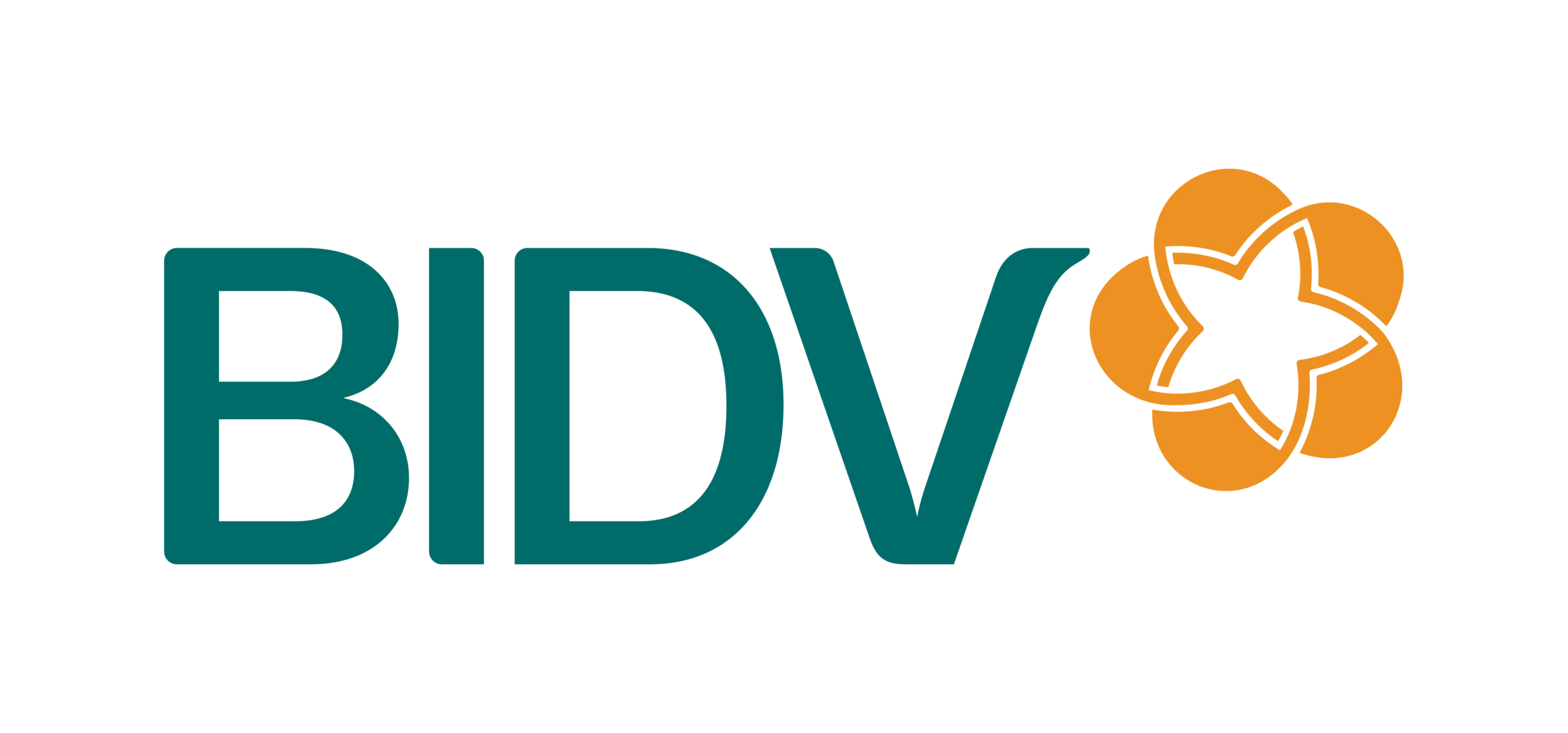 bidvLogo scaled